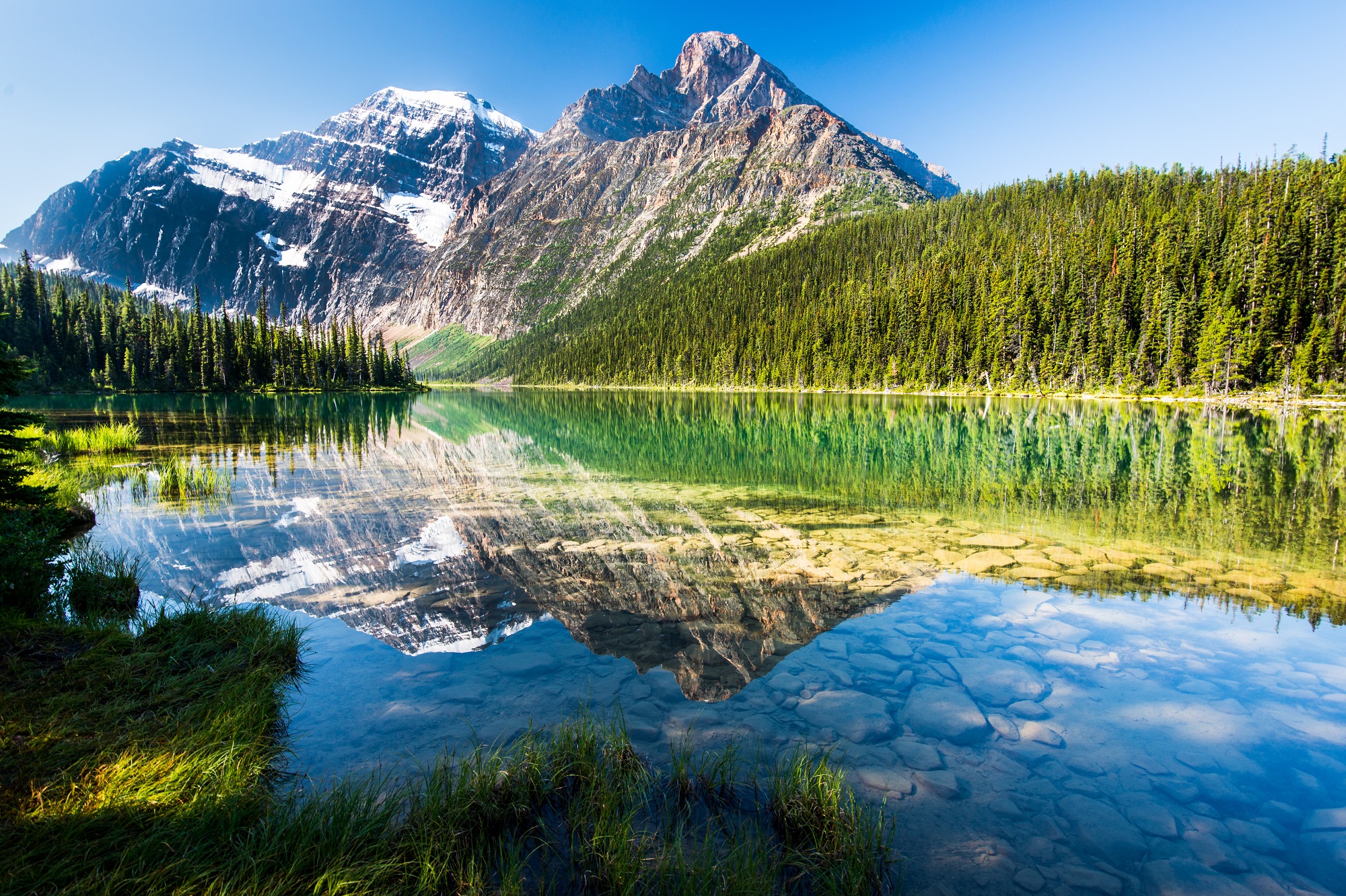 Sunrise Photography and Wildlife Tour - Jasper Adventure Centre.